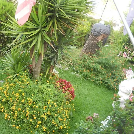 Harmony Hotel 3*